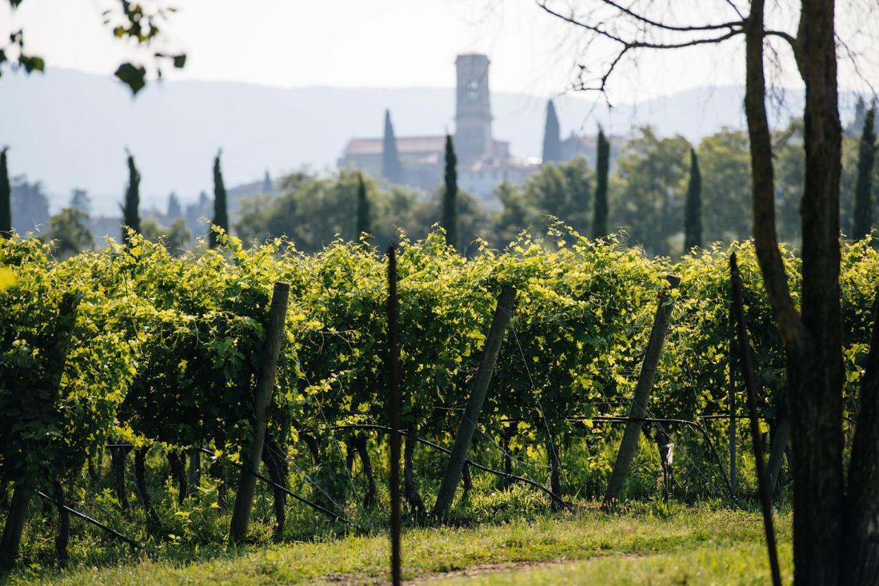 Dimora Buglioni Wine Relais San Pietro in Cariano Exterior foto