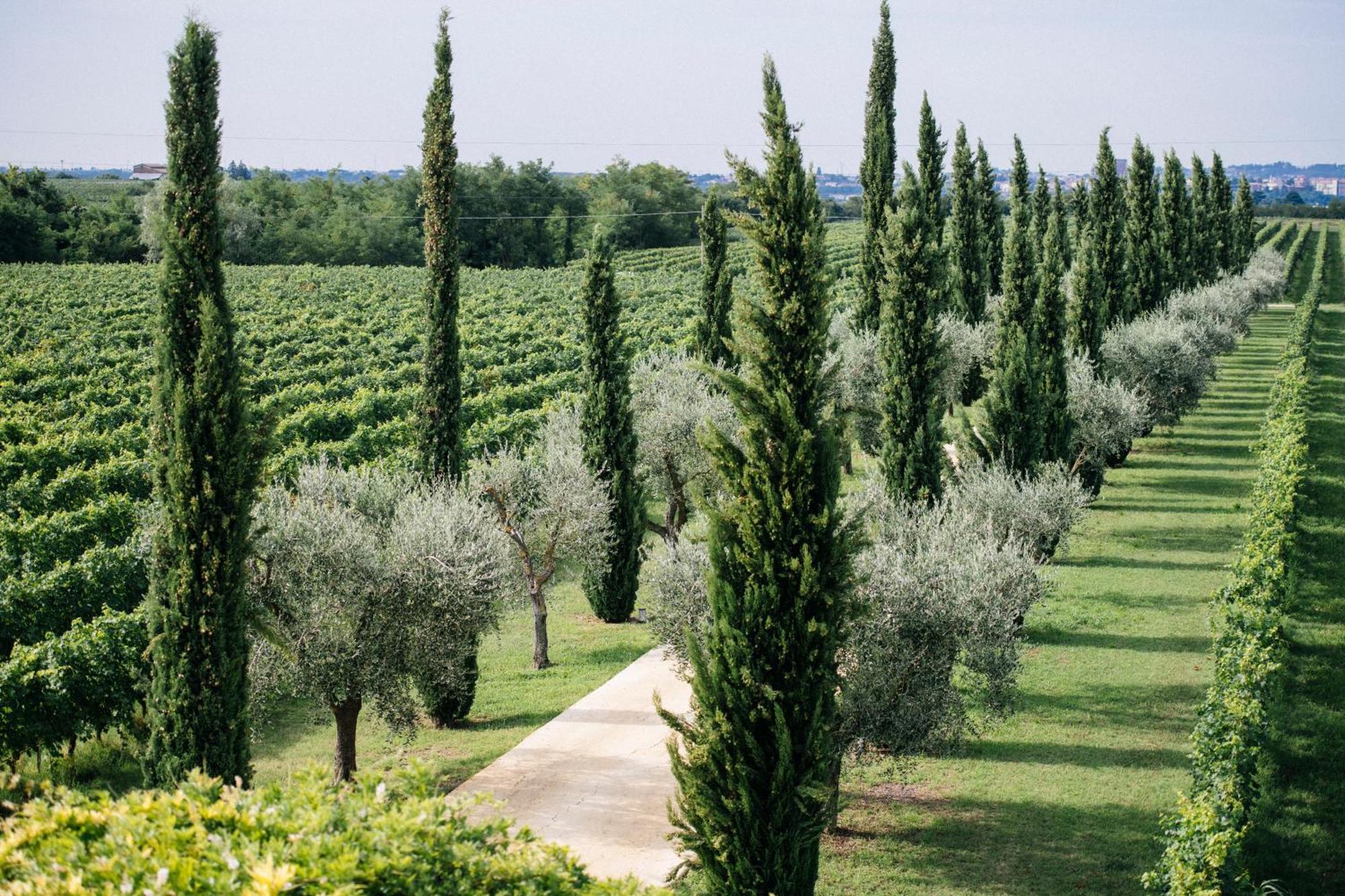 Dimora Buglioni Wine Relais San Pietro in Cariano Exterior foto